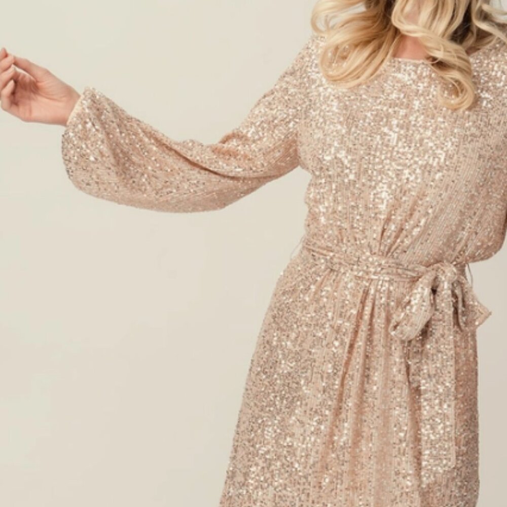 Nude Long Sleeve Sequin Dress